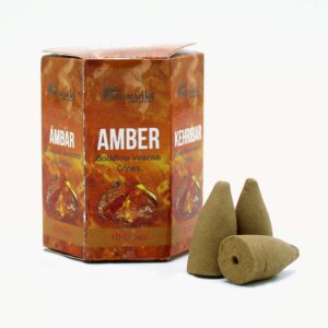 Masala Backflow Incense pack of 10 - Amber (ABFi-12)