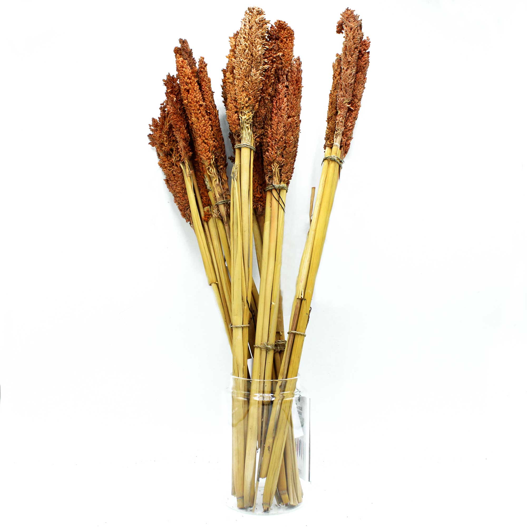 Cantal Grass Bunch - Rust  (CGB-04)