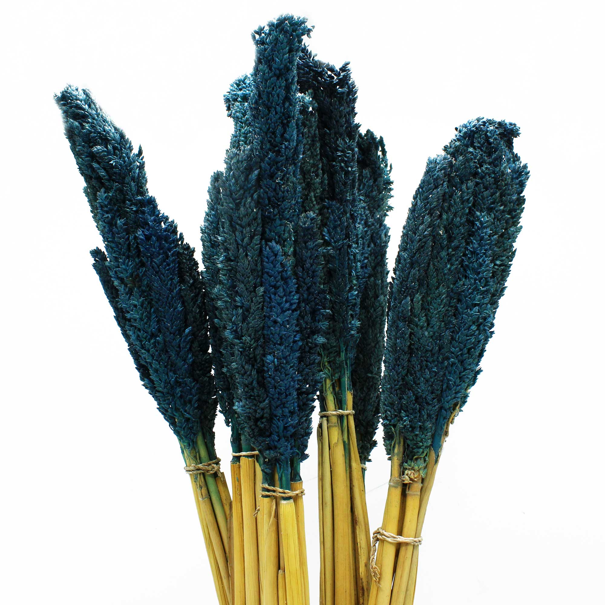Cantal Grass Bunch - Blue  (CGB-09)