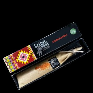 Tribal Soul Incense Sticks - Cinnamon  (TribalSi-11)
