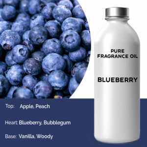 Blueberry Pure Fragrance Oil - 500ml  (FOBP-136)