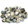 Runes Stone Set in Pouch - Tree Agate  (Rune-45)