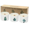 Med Botanical Candles - Mullberry Harvest  (BotC-02)