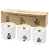 Large Botanical Candles - Marsh Violet  (BotC-06)