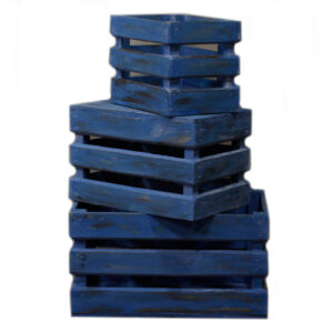 Set of 3 Storage/Display Boxes - Bluewash  (RDS-153)