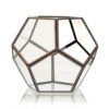 Glass Terrarium - Large Octagon  (GTer-05)