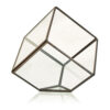 Glass Terrarium - Cube on Corner  (GTer-06)
