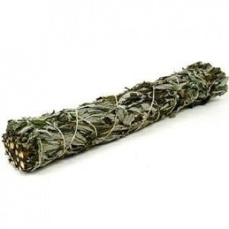 Smudge Stick - Black Sage 10cm  (SmudgeS-01)