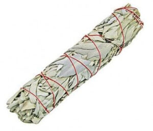 Smudge Stick - White Sage 22.5 cm  (SmudgeS-09)