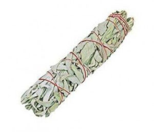 Smudge Stick - White Sage 15cm  (SmudgeS-10)