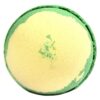 Apple Pie & Custard Bath Bomb  (JBB-15)