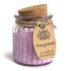 Pomegranate Soy Pot of Fragrance Candle  (SoyP-09)